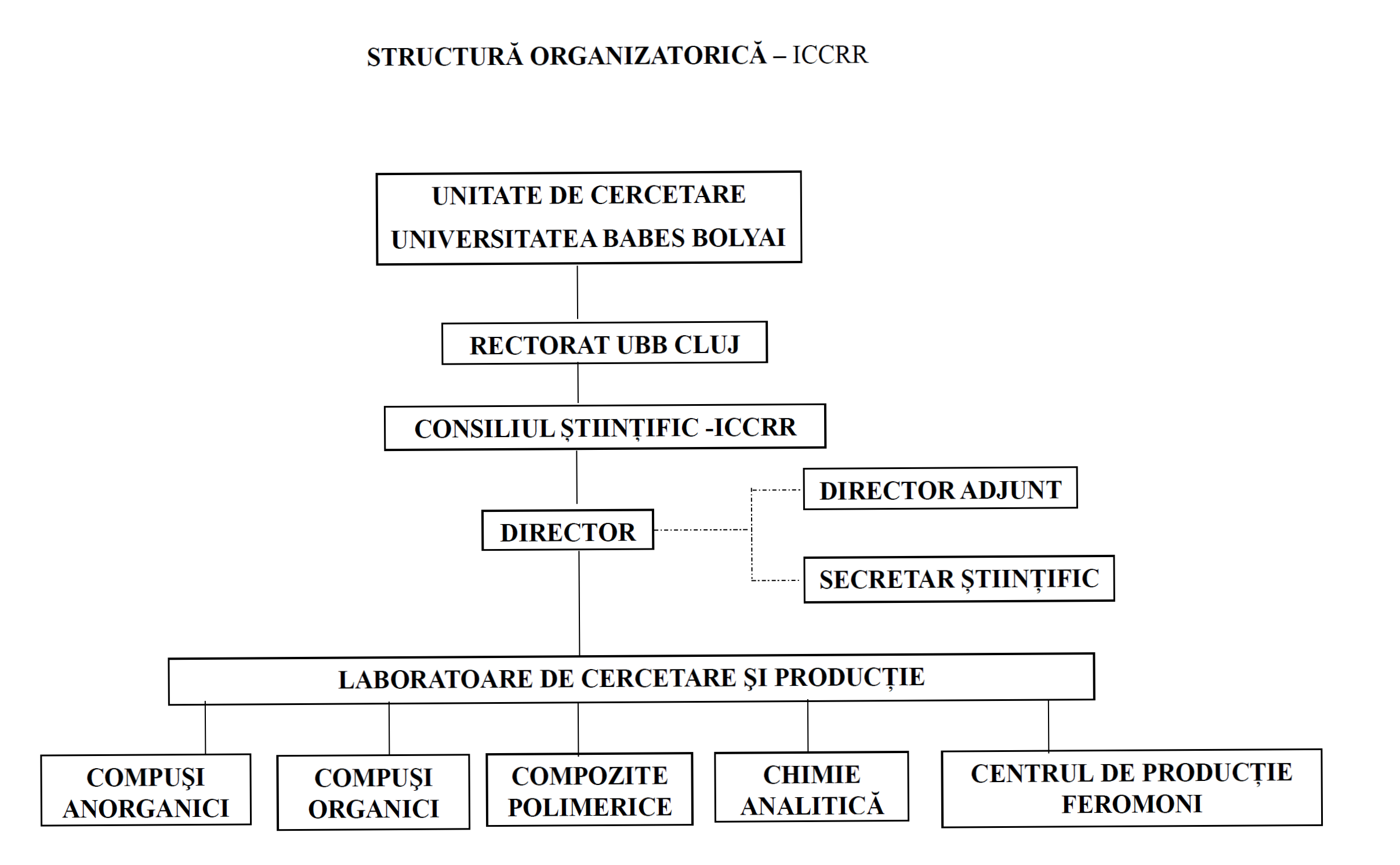 structura organizatorica_ICCRR